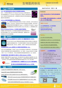 長煦信息技術(shù)咨詢 數(shù)字化轉(zhuǎn)型時代的專業(yè)引領(lǐng)者