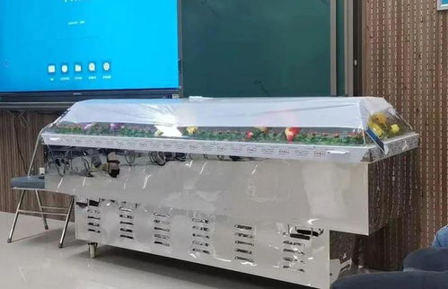 跨界融合 從殯葬專業到計算機批發，膽識鋪就多元職業路